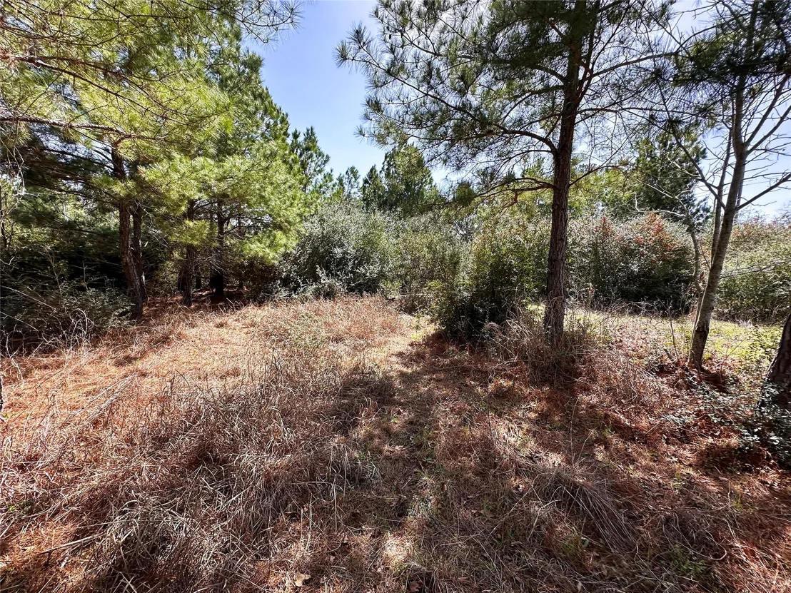 Photo of 161 Alele DR