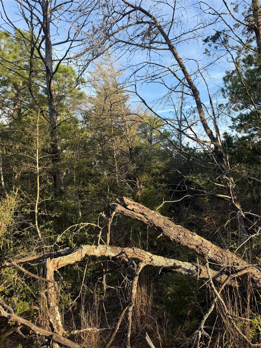Photo of 142 Helemano DR