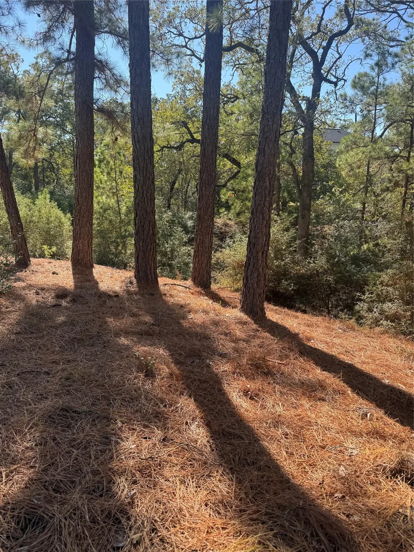 Photo of Lot 97 Kaelepulu DR