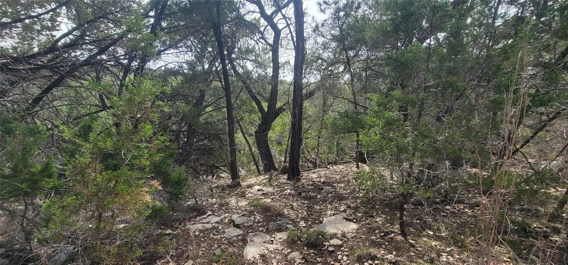 Photo of 21003 Panhandle CV
