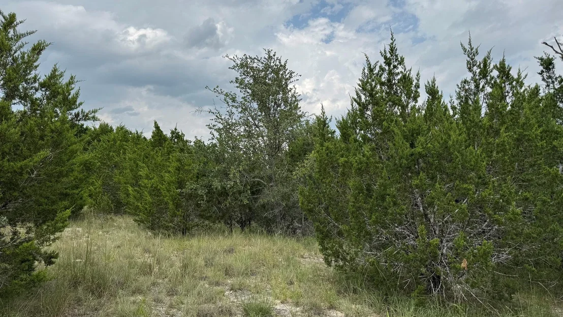 Photo of Lot 645 Wagon Wheel TRL