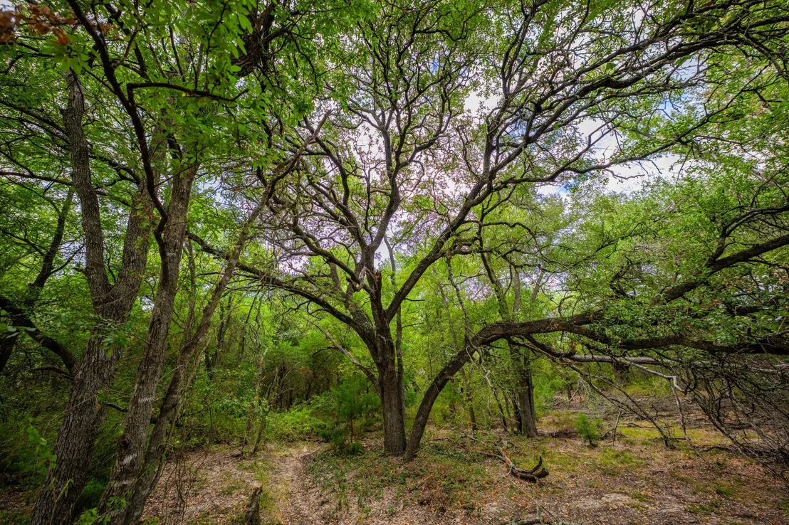 Photo of 777 County Road 206