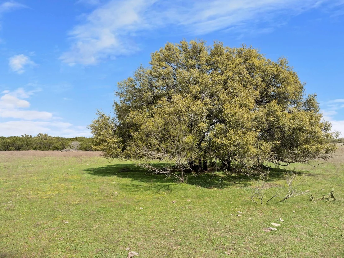 Photo of TBD Fm 963