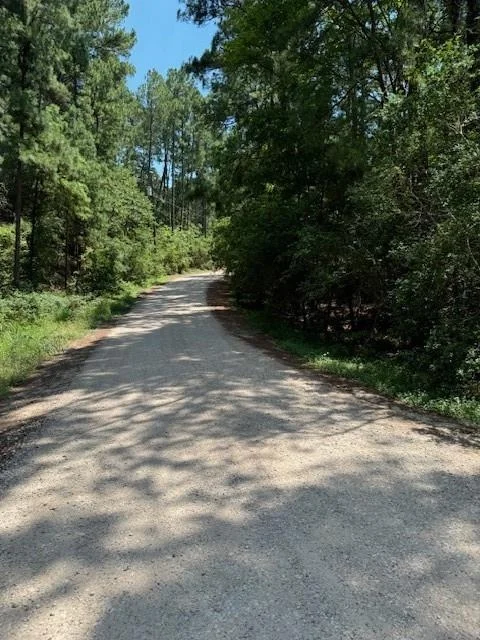 Photo of Lot 250 Hekili DR