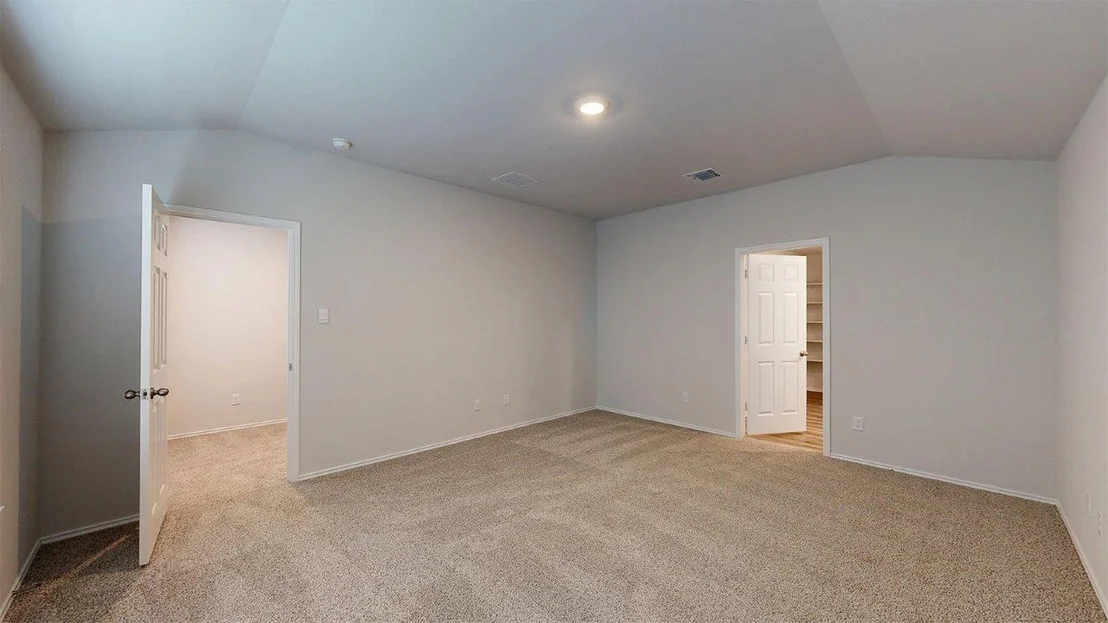Photo of 557 Hector LOOP