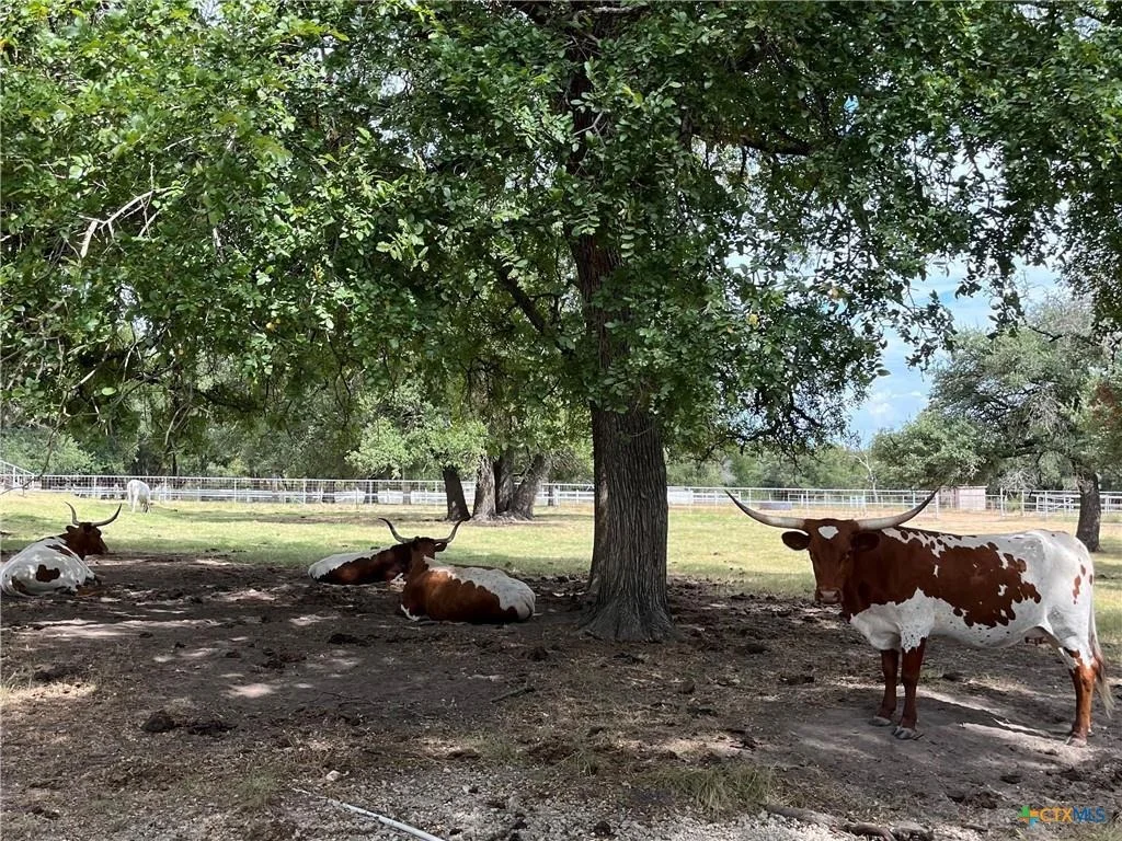 Photo of 4009 N Highway 183