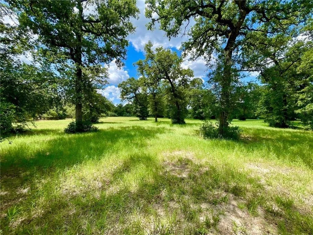 Photo of 10571 County Road 321
