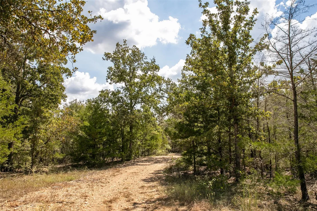 Photo of TBD FM 180
