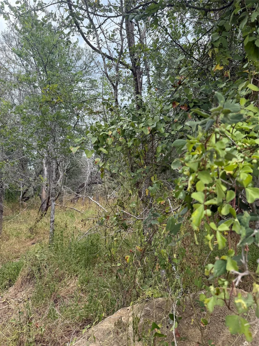 Photo of Lots 451, 452, 453 Heleakala DR