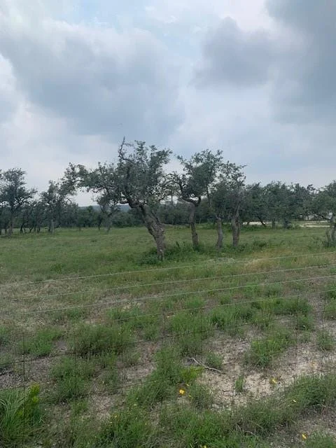 Photo of 2993 Pump Station RD