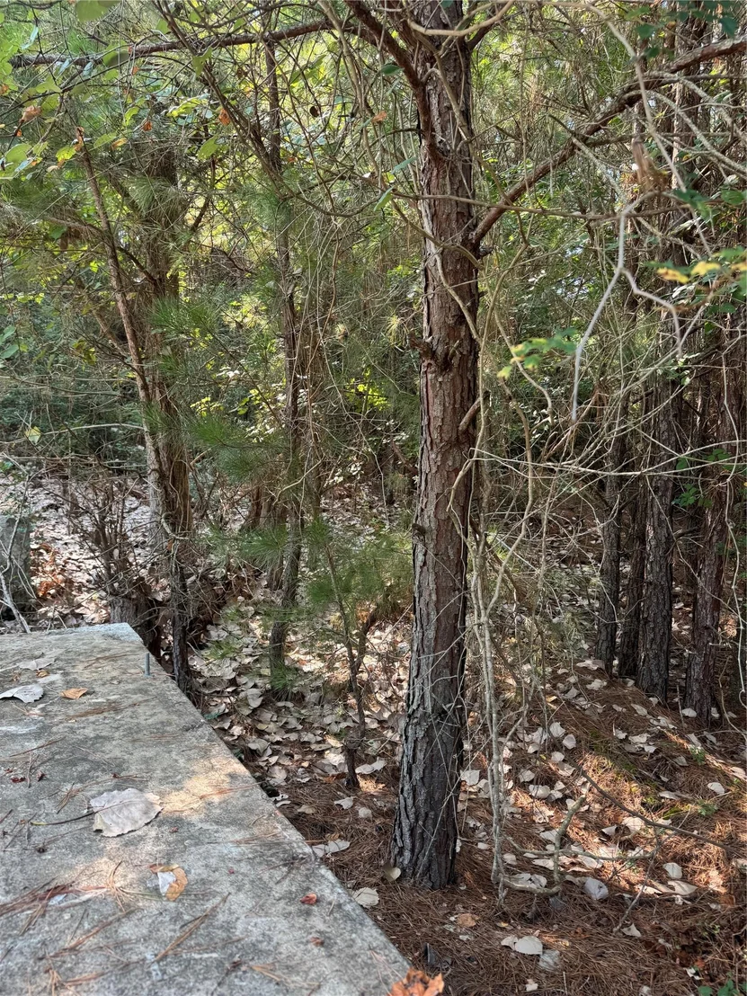 Photo of 131 Nakalele LN