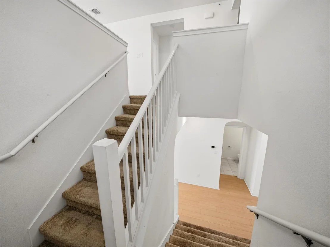 Photo of 101 Clematis CT