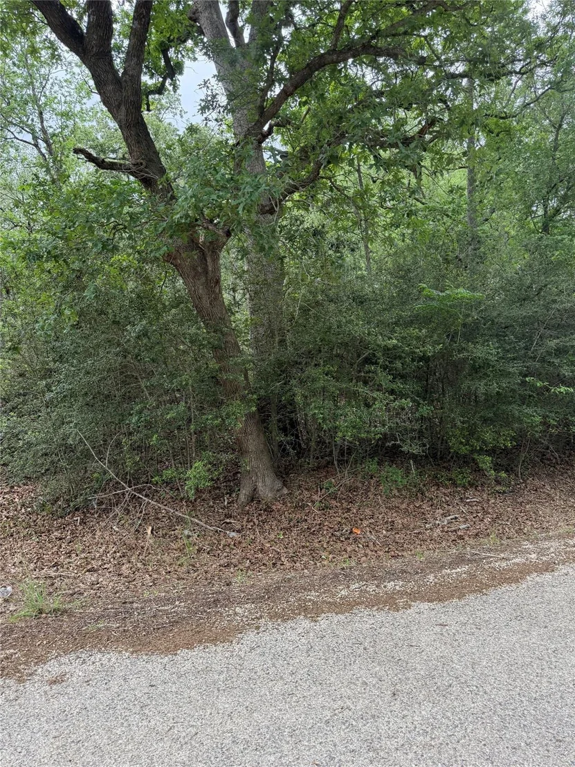 Photo of lot 70 Kaelepulu DR