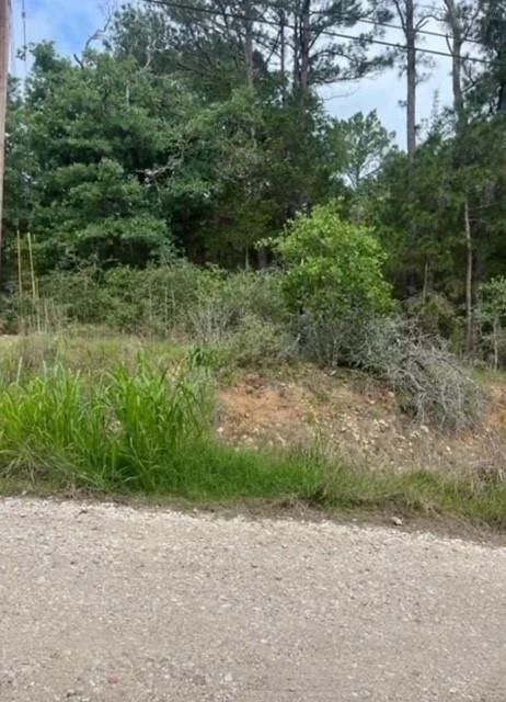 Photo of Lot 345 Wainee DR
