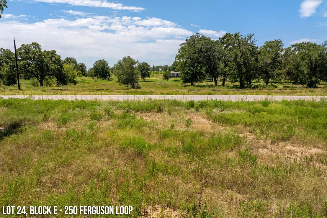 Photo of 250 Ferguson LOOP