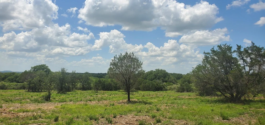 Photo of Tract 6 Lehne LOOP