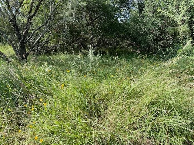 Photo of Lot 80 Wesley Ridge DR