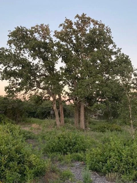 Photo of TBD County Road 252