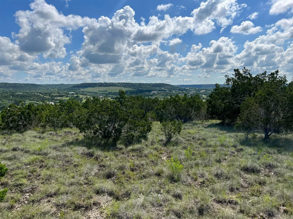 Photo of Lot 652 Wagon Wheel TRL