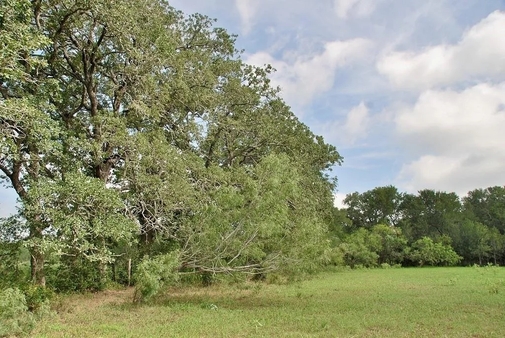 Photo of 9590 Maynard Hallmark RD