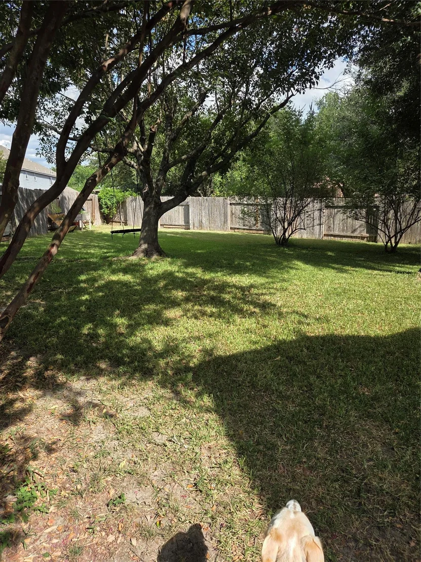 Photo of 2102 Spotted Owl CIR