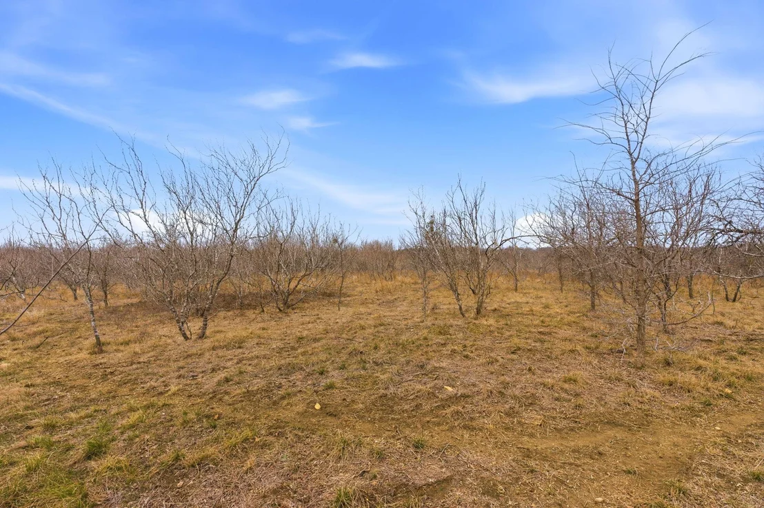 Photo of 13802 Hokanson RD