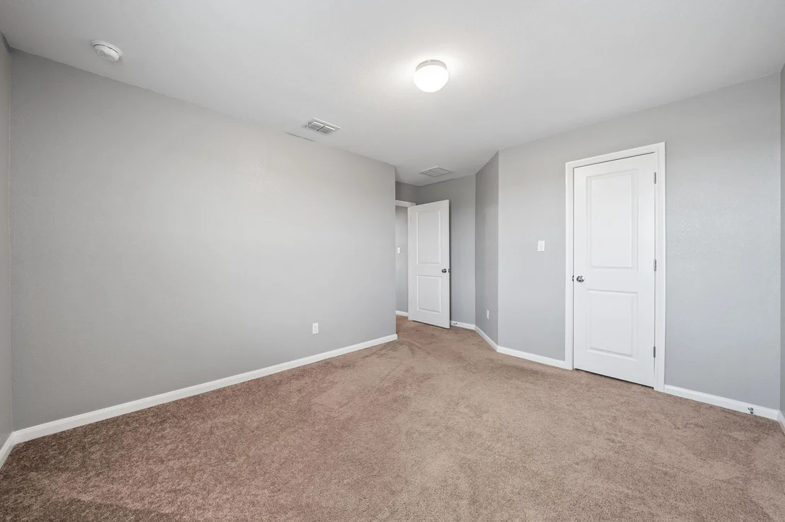 Photo of 436 Spinnaker LOOP