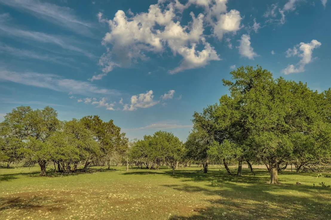 Photo of 1185 County Road 258