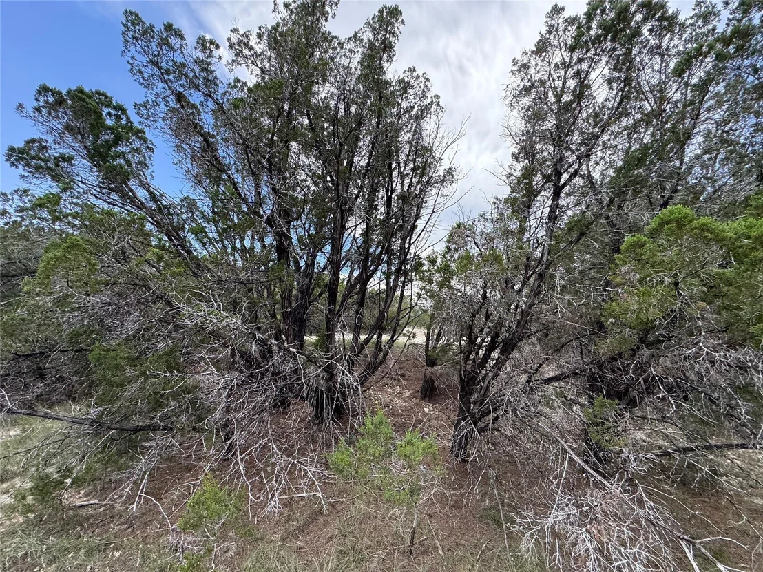 Photo of 20800 Cedar Ridge CV