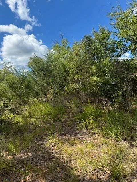 Photo of 261 Flaming Oak DR