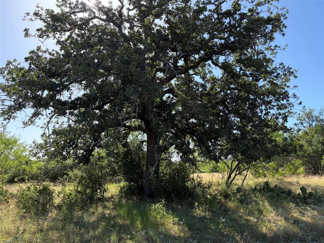 Photo of 3118 CR 404 RD