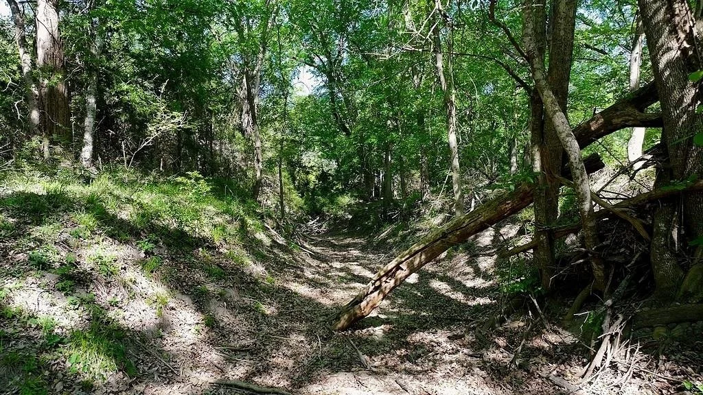 Photo of 1703 Post Oak RD