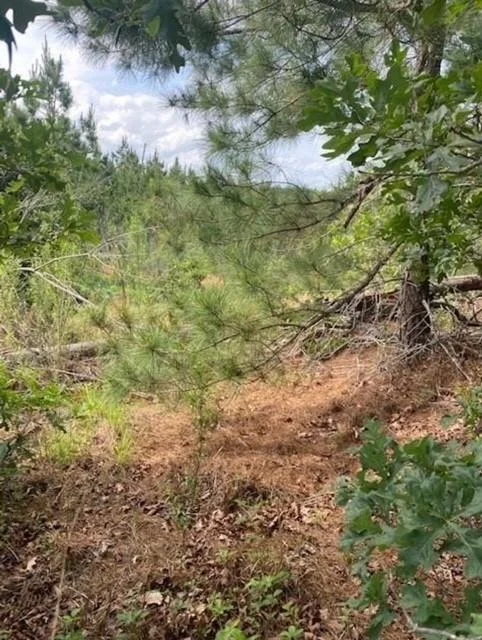 Photo of Lot 4 Kainalu LN