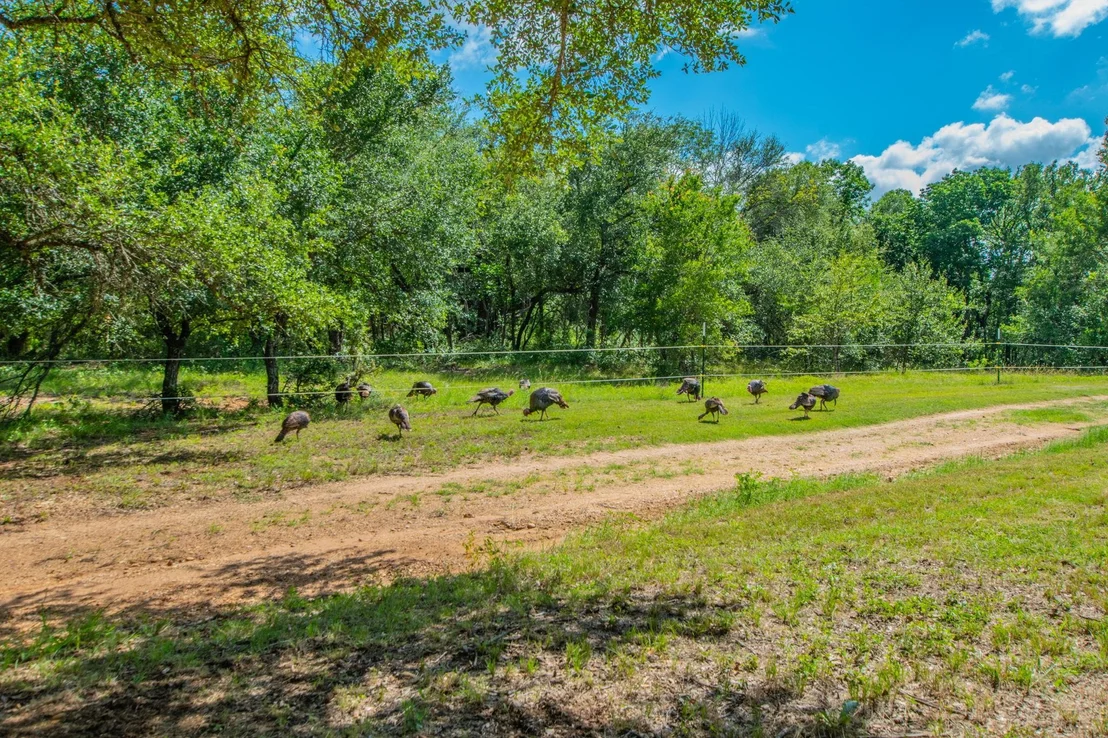 Photo of 622 Private Road 4053