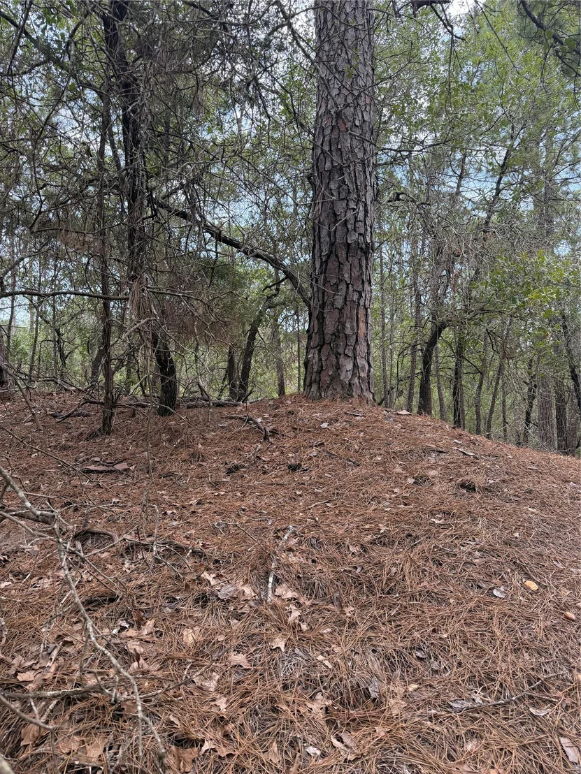 Photo of Lot 214 Hekili DR