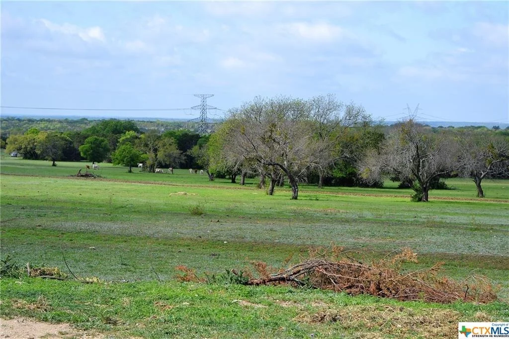 Photo of 1290 County Road 4765
