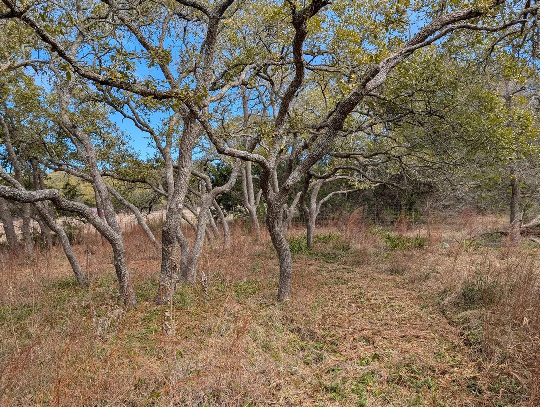 Photo of 351 Crossroads DR