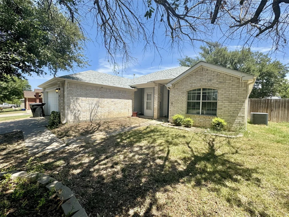 Photo of 913 Filly LN