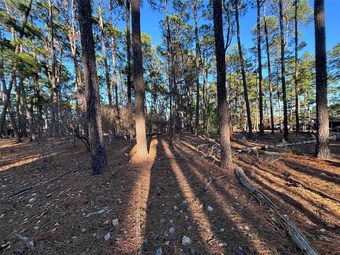 Photo of 987 Stephen LN
