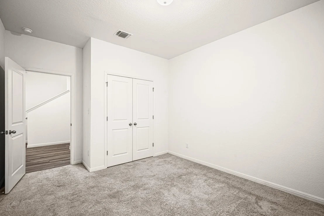 Photo of 109 Gray Fox LOOP