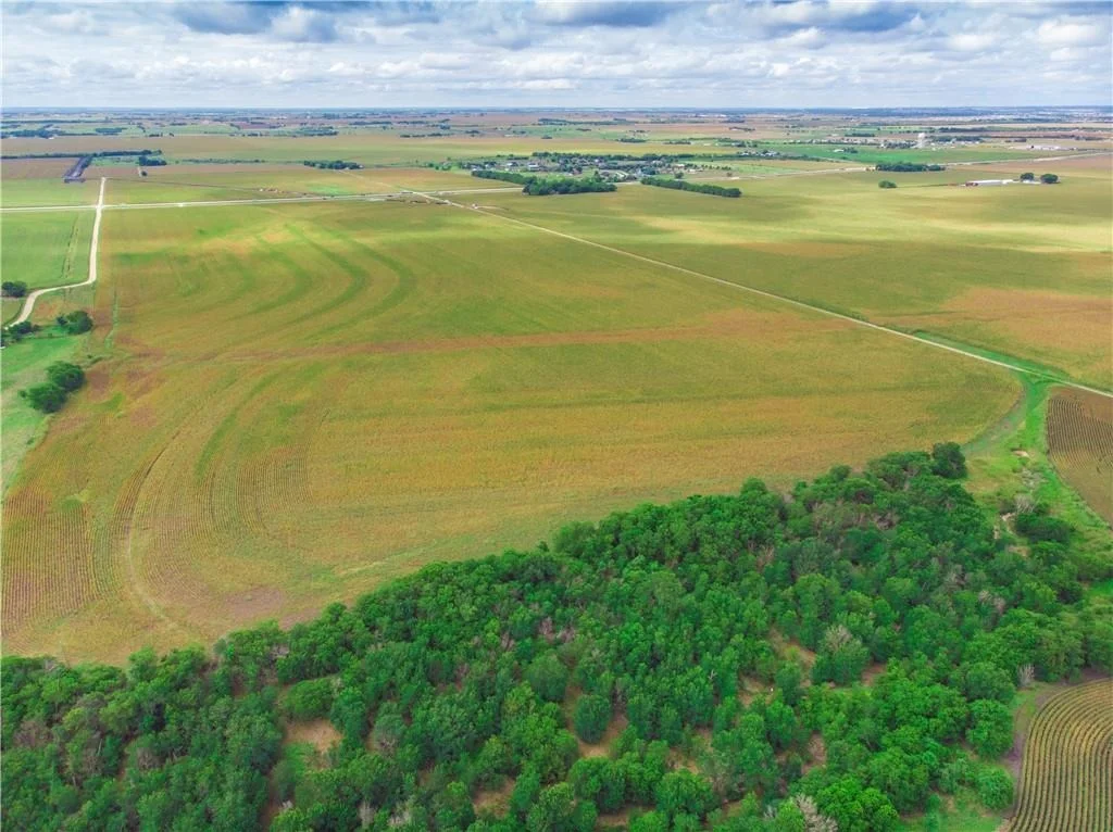 Photo of 703 County Road 368