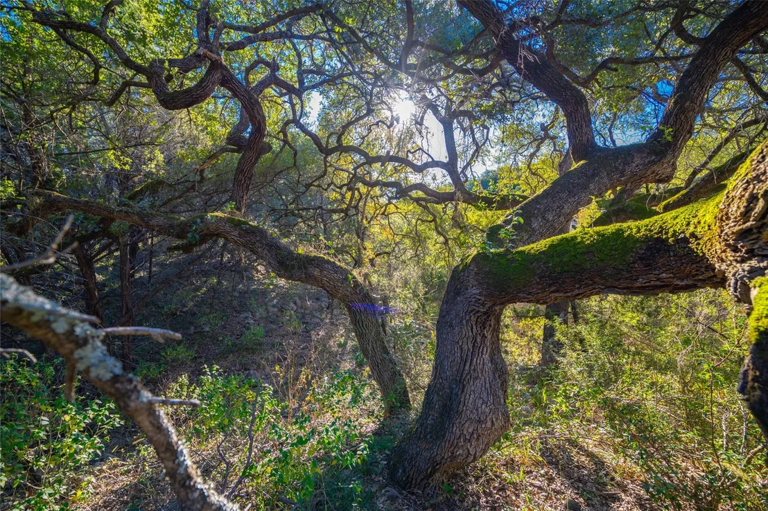 Photo of 00 Quail Run DR