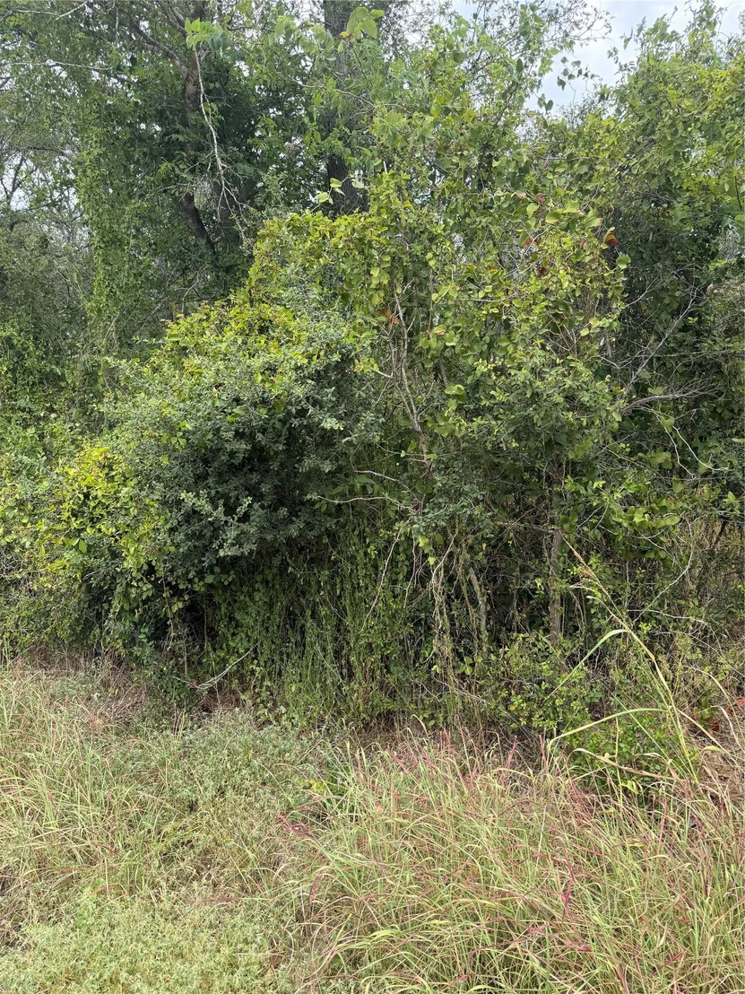 Photo of Lots 451, 452, 453 Heleakala DR
