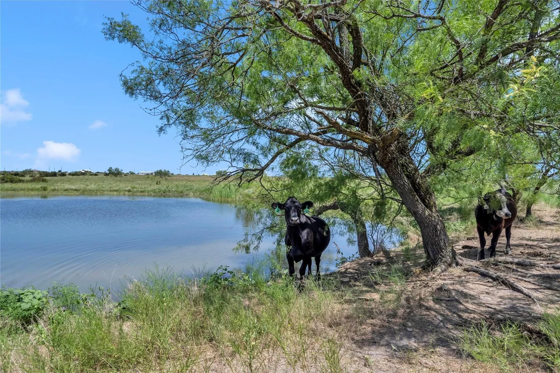 Photo of 10600 County Road 210 RD
