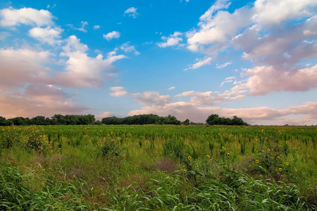 Photo of 150 County Road 126