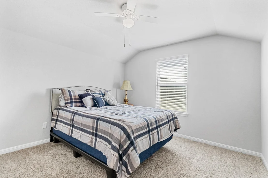 Photo of 1512 Daylily LOOP