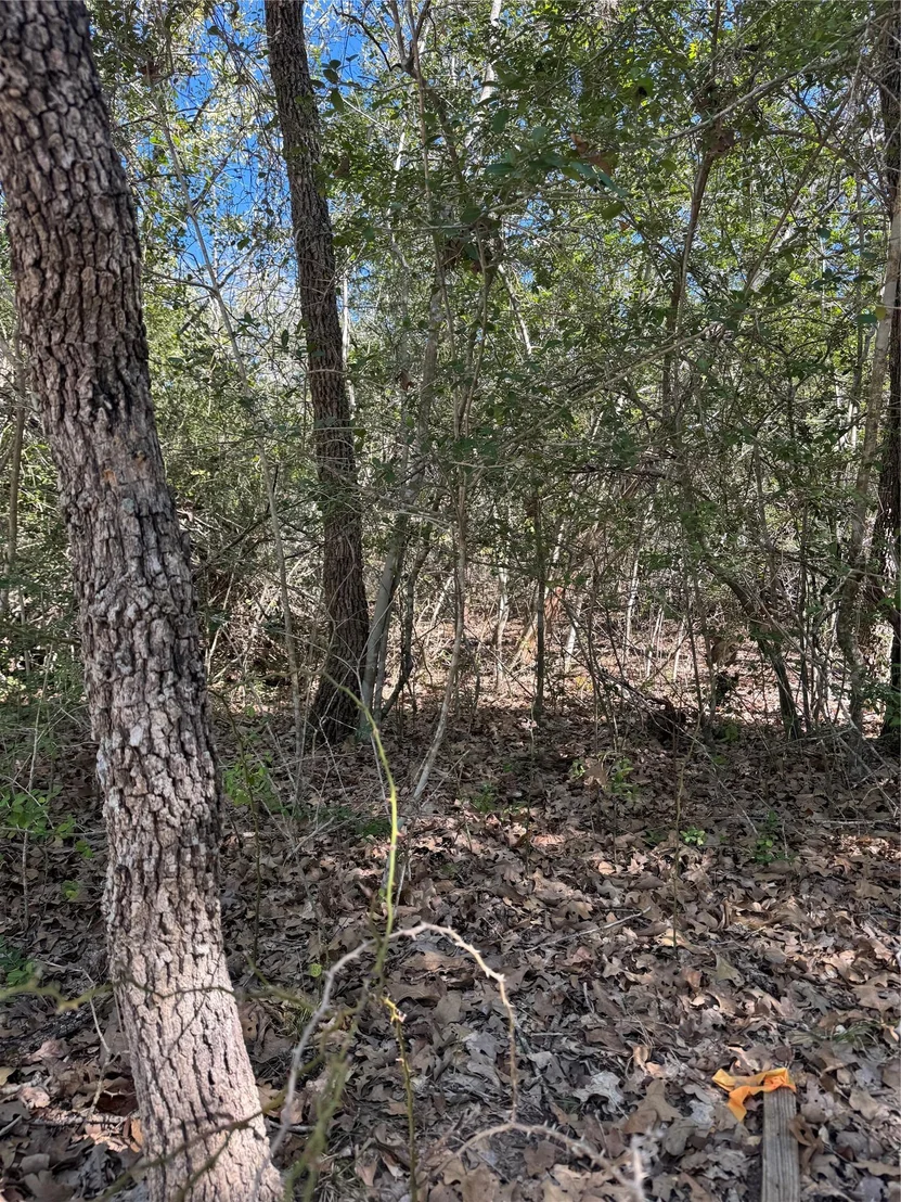 Photo of Lot 195 Kaelepulu DR