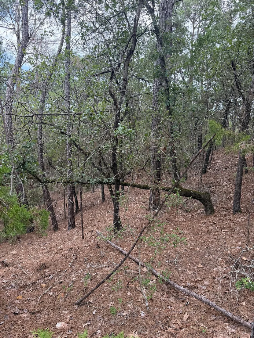 Photo of Lots 213 and 214 Hekili DR