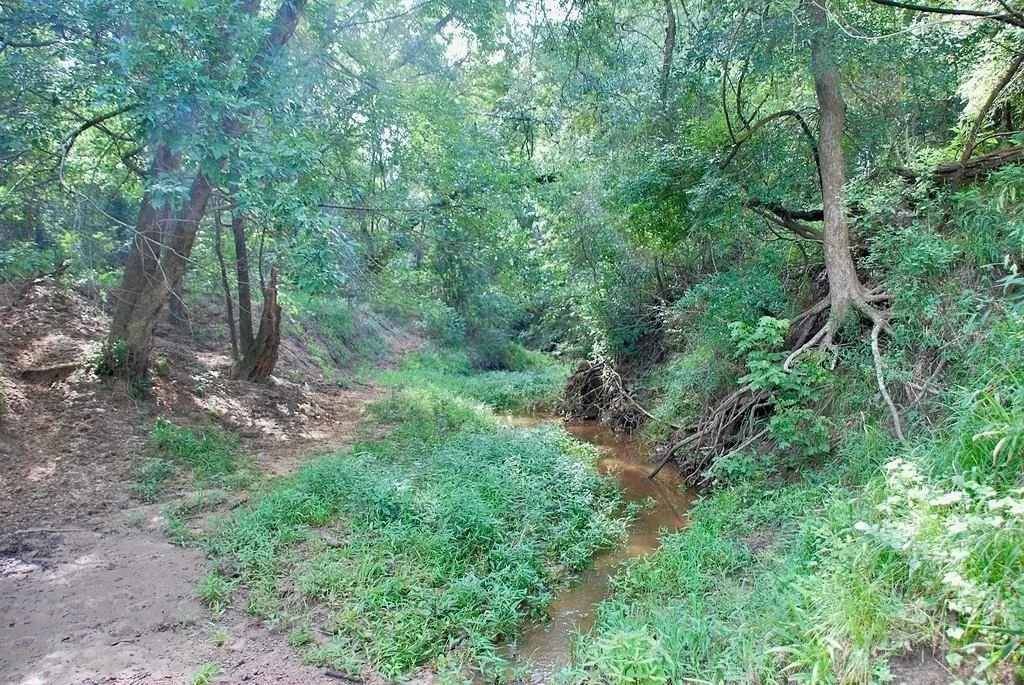 Photo of 9590 Maynard Hallmark RD