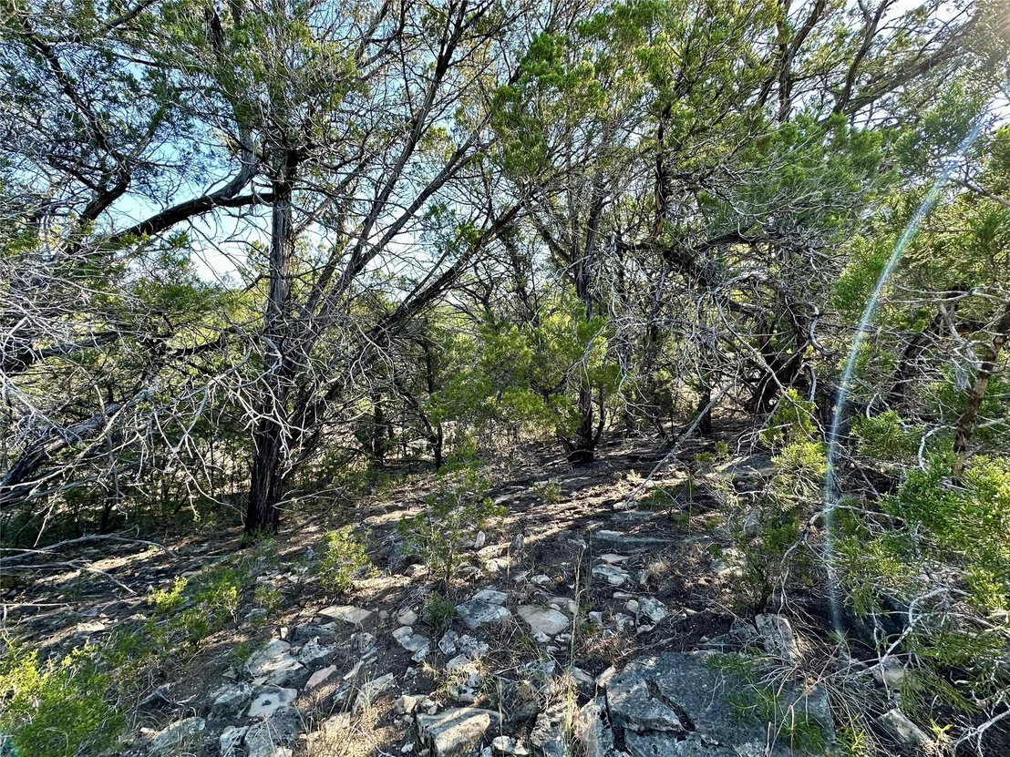 Photo of 7935 Folklore CIR